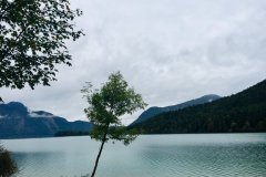 IMG_4871-FILEminimizer